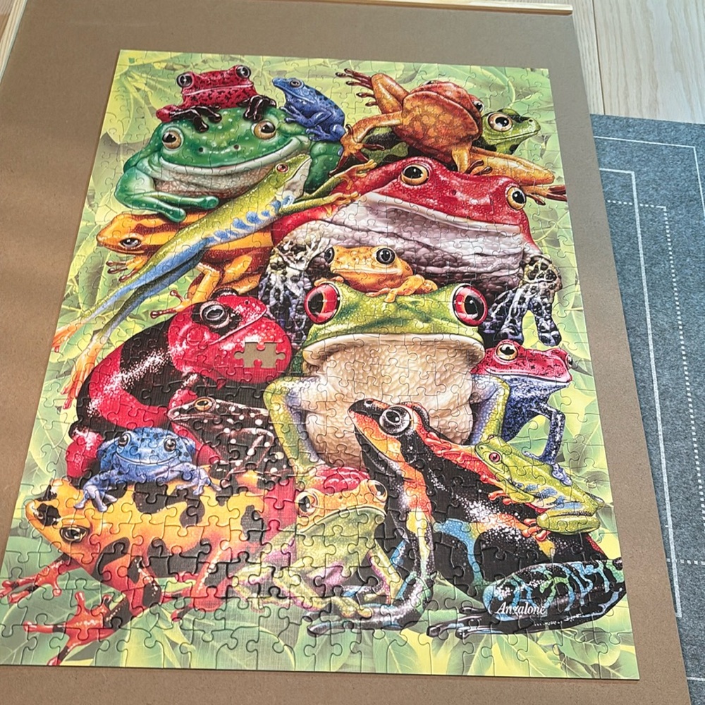Beautiful Frog puzzle by Cobble Hill